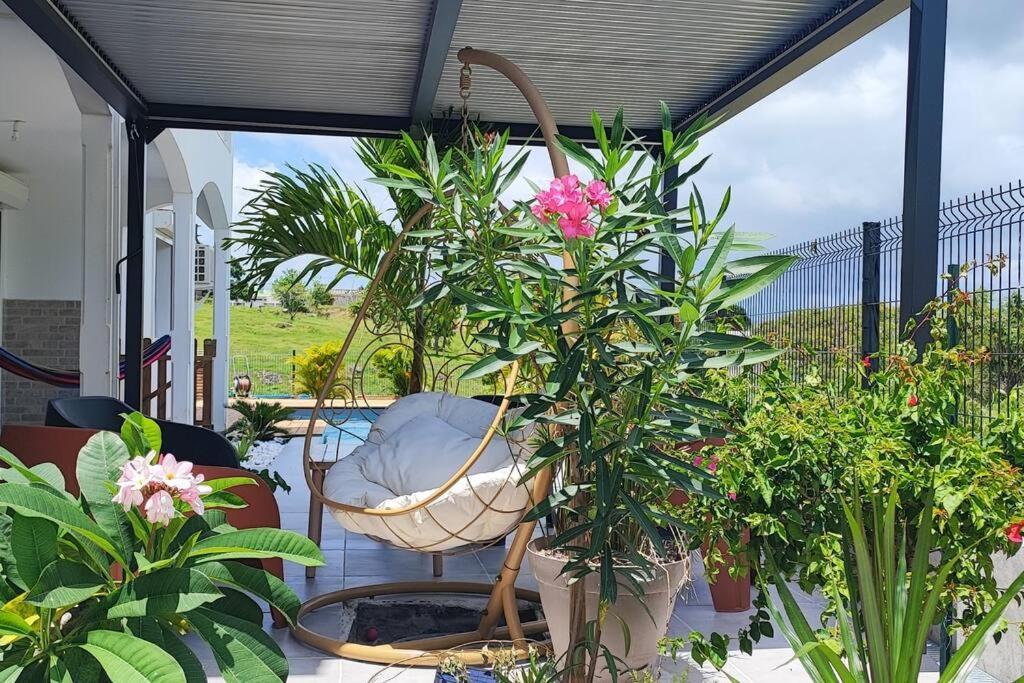 Kukumi'S House Avec Piscine Villa Sainte-Anne  Eksteriør bilde